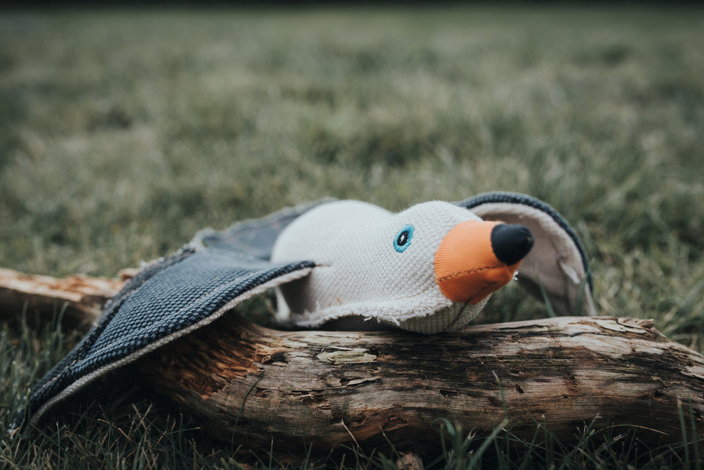 CANVAS Seagull Dog toy - Hunter Pet Store -dog toy for playing, cuddling and loving -suitable for medium to large dogs -detailed animal look with a rough look and raw edge seams -with squeaker -washable at 90 °F