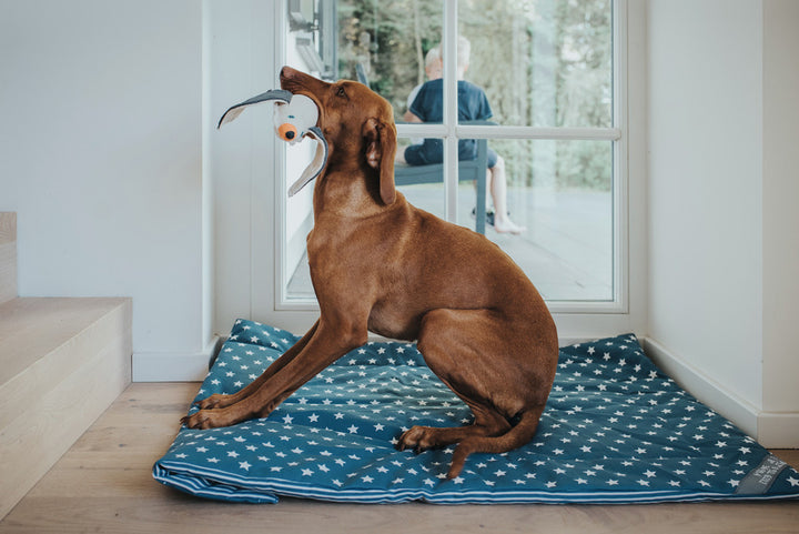 CANVAS Seagull Dog toy - Hunter Pet Store -dog toy for playing, cuddling and loving -suitable for medium to large dogs -detailed animal look with a rough look and raw edge seams -with squeaker -washable at 90 °F