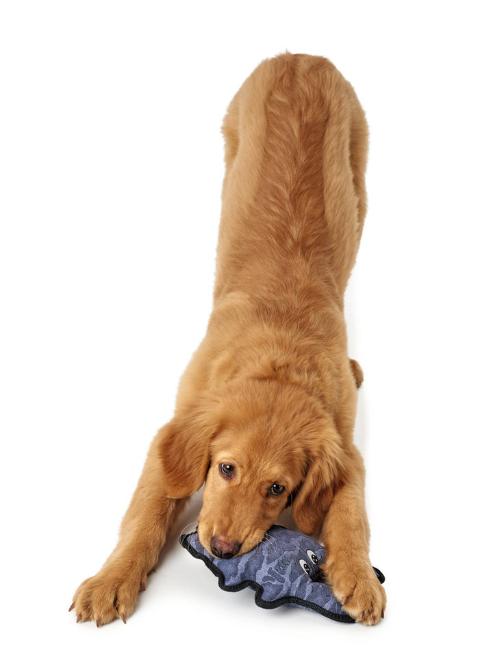 BRISBANE Gator Dog toy - Hunter Pet Store -dog toy for playing, cuddling and loving -for medium to large dogs -funny animal look with pleasantly firm surface -can be easily picked up and retrieved -with reinforced seams for more stability -14.96 in