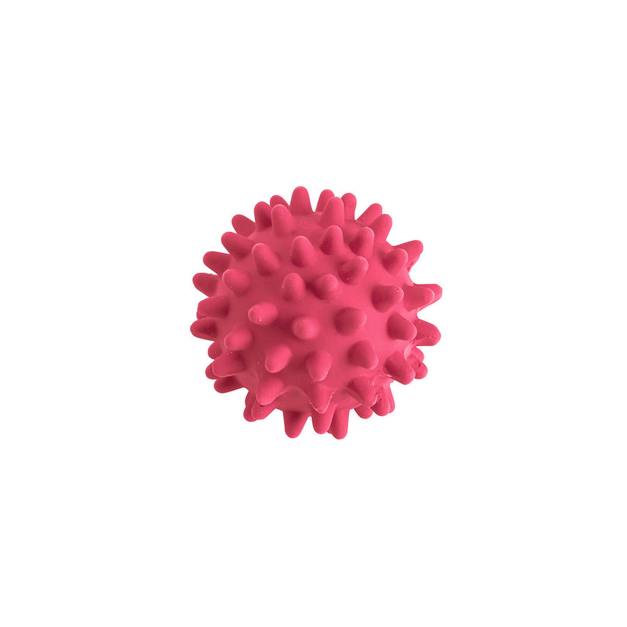 HEDGEHOG Ball Dog Toy - Hunter Pet Store -latex toy -with squeaker -sorted colors
