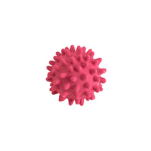 Load image into Gallery viewer, Dog Toy HEDGEHOG Ball
