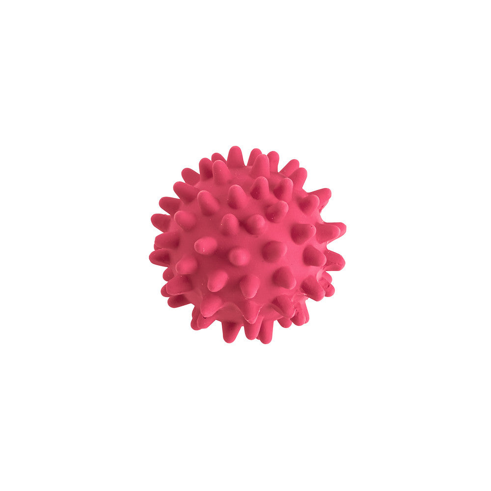 Dog Toy HEDGEHOG Ball