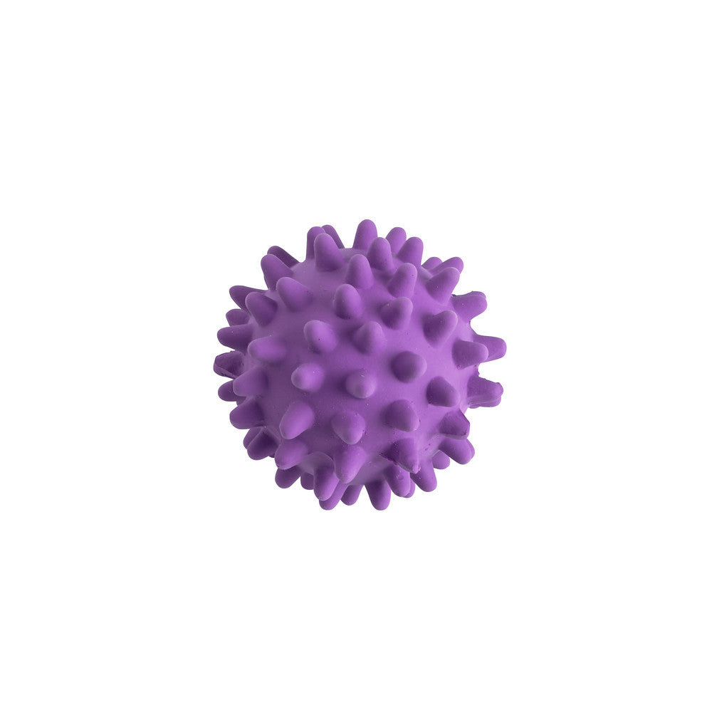 Hedgehog ball dog toy 2025