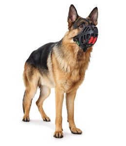 Muzzle ALBURY