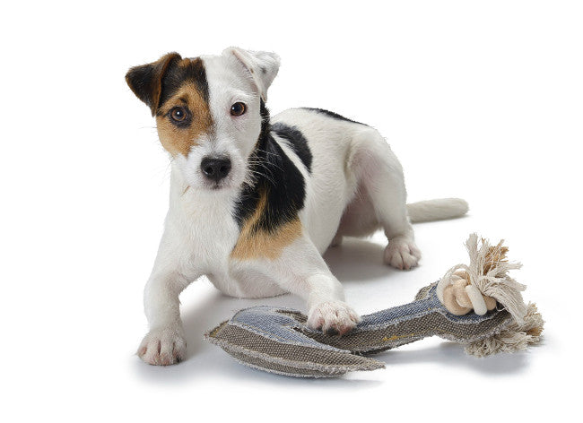 CANVAS Anchor Dog toy - Hunter Pet Store -Made from sturdy cotton with polyester filling -Features rope and raw-edge seams for chewing and play - Contains squeaker for extra amusement -Machine washable up to 86°F -CE certified, meeting European child toy safety regulations