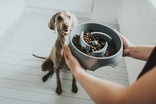 Load image into Gallery viewer, Slow-Feeding bowl ATLANTA large