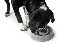 Load image into Gallery viewer, Slow-Feeding bowl ATLANTA large
