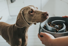 Load image into Gallery viewer, Slow-Feeding bowl ATLANTA large