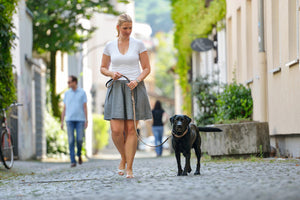 Adjustable Leash BASIC leather