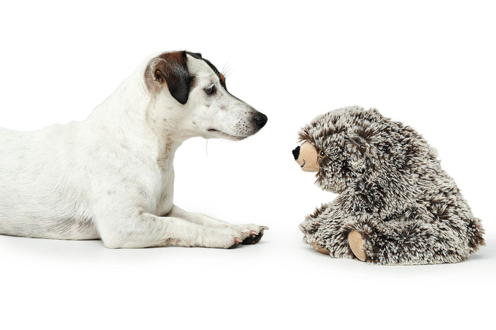 FARO Bear Dog toy - Hunter Pet Store -polyester -without squeaker -particularly soft -hand wash -6.3 in