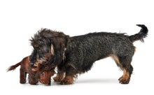 Load image into Gallery viewer, Dog Toy KAMERUN Mammoth