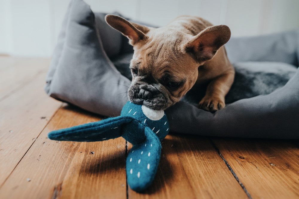 TIRANA Rabbit Dog toy - Hunter Pet Store -cute animal dog toy, without squeaker -for playing, cuddling and loving -made of up-cycled outer material and recycled filling -attractive yet tough material mix of wool and polyester -washable at 86 °F -7.1 in
