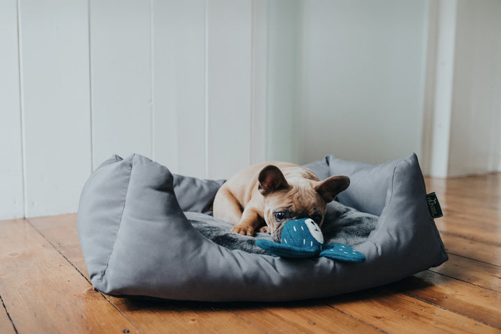 TIRANA Rabbit Dog toy - Hunter Pet Store -cute animal dog toy, without squeaker -for playing, cuddling and loving -made of up-cycled outer material and recycled filling -attractive yet tough material mix of wool and polyester -washable at 86 °F -7.1 in