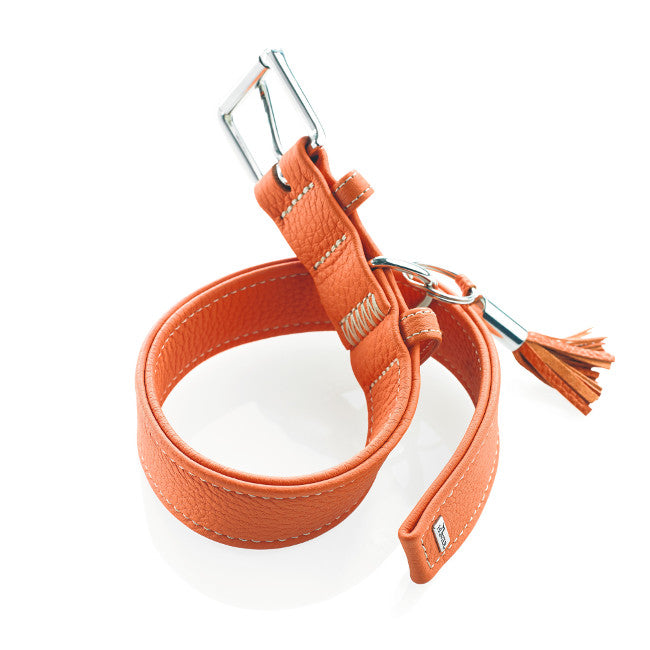 CANNES Collar - Hunter Pet Store -especially soft cow nappa leather -collar body is made from one single piece of leather -made in Germany