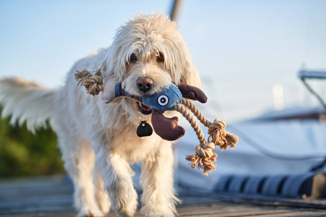 SANSIBAR Lobster Dog toy - Hunter Pet Store -upper material 60% cotton, 40% polyester -knotted rope running through the toy -washable at 90 °F