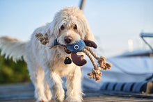 Load image into Gallery viewer, Dog toy SANSIBAR Lobster