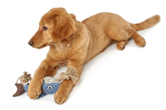 SANSIBAR Lobster Dog toy - Hunter Pet Store -upper material 60% cotton, 40% polyester -knotted rope running through the toy -washable at 90 °F