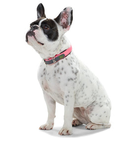 Collar CONVENIENCE Comfort
