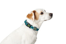 Load image into Gallery viewer, Collar HILO