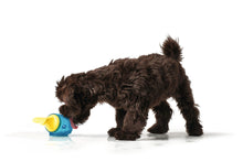 Load image into Gallery viewer, Cooling dog toy ALASKA Octopus