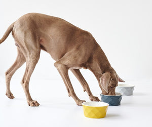 Feeding Bowl EIBY Ceramic