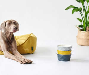Feeding Bowl EIBY Ceramic