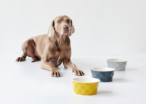 Feeding Bowl EIBY Ceramic