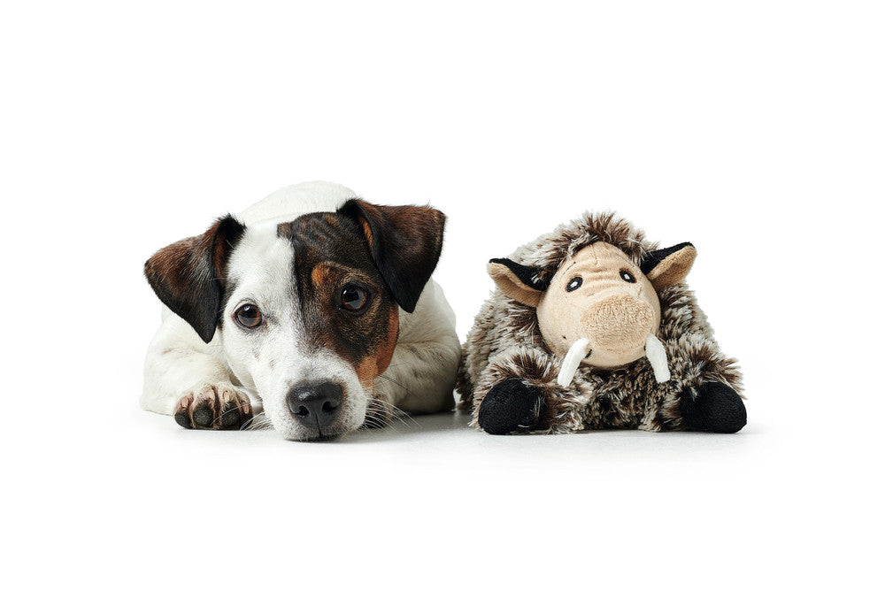 FARO Wild boar Dog toy - Hunter Pet Store -polyester -without squeaker -particularly soft -hand wash