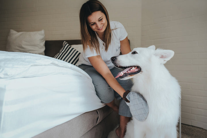 Grooming Glove SPA - Hunter Pet Store -care glove for all types of fur -wash and massage your dog at the same time -features an opening for adding shampoo -fabric surface to remove hairs from clothes and furniture -universal glove size
