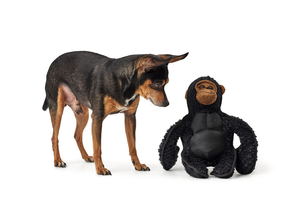 KAMERUN Gorilla Dog toy - Hunter Pet Store -cute dog toy to play, cuddle and love -funny look for exciting fun -the shape makes it easy to pick up and retrieve -with reinforced seams for more stability -animating mix of materials, including cuddly plush fabric -11.4 in
