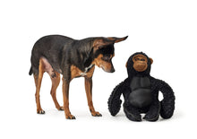 Load image into Gallery viewer, Dog toy KAMERUN Gorilla