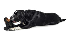 Load image into Gallery viewer, Dog toy KAMERUN Gorilla