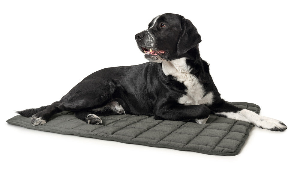 HAMILTON Blanket - Hunter Pet Store - Upgrade your dog's comfort in his bed or cover your dog's favorite spot on your couch with it. - Perfect for taking with you when you travel together. - Washable at high temperature 203°F - Quilted cotton blend material is soft and lightly padded. - Blanket is perfectly flexible, allowing you to roll it up and save space when not in use.