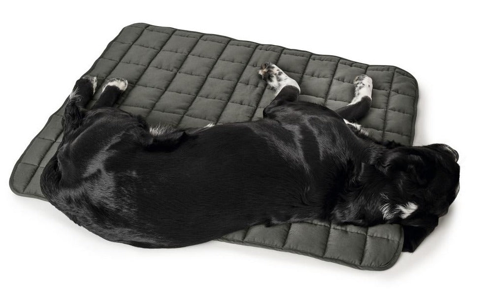HAMILTON Blanket - Hunter Pet Store - Upgrade your dog's comfort in his bed or cover your dog's favorite spot on your couch with it. - Perfect for taking with you when you travel together. - Washable at high temperature 203°F - Quilted cotton blend material is soft and lightly padded. - Blanket is perfectly flexible, allowing you to roll it up and save space when not in use.
