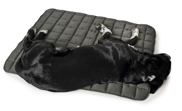 HAMILTON Blanket - Hunter Pet Store - Upgrade your dog's comfort in his bed or cover your dog's favorite spot on your couch with it. - Perfect for taking with you when you travel together. - Washable at high temperature 203°F - Quilted cotton blend material is soft and lightly padded. - Blanket is perfectly flexible, allowing you to roll it up and save space when not in use.