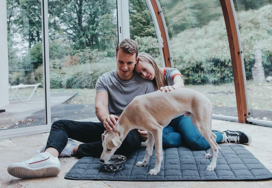 HAMILTON Blanket - Hunter Pet Store - Upgrade your dog's comfort in his bed or cover your dog's favorite spot on your couch with it. - Perfect for taking with you when you travel together. - Washable at high temperature 203°F - Quilted cotton blend material is soft and lightly padded. - Blanket is perfectly flexible, allowing you to roll it up and save space when not in use.