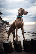 Load image into Gallery viewer, Collar HILO