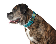 Load image into Gallery viewer, Collar HILO