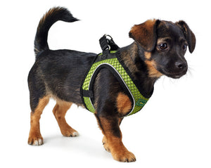 Harness HILO Comfort
