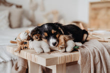 Load image into Gallery viewer, Dog toy HUGGLY Blanket Donkey