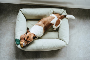 Dog bed INARI green