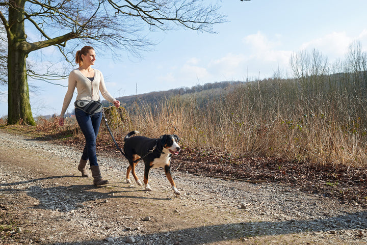 JASPER Jogging belt - Hunter Pet Store -ergonomic bag for sporting activities with the dog -individually adjustable to your own waist circumference (up to 3'11¼­˝ ) -with elastic, infinitely adjustable lead (up to 3'10 1⁄16˝, without pull) -with safety buckle and wrist loop with soft neoprene padding -with slide-in and zipped pockets for keys, water bottle and co. -reflective elements for optimum visibility -easy to clean: simply wash off