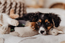 Load image into Gallery viewer, Dog toy TIRANA Lama