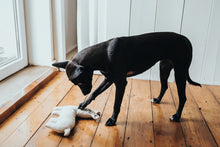 Load image into Gallery viewer, Dog toy TIRANA Lama