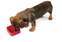 Load image into Gallery viewer, Collapsible travel bowl LIST red