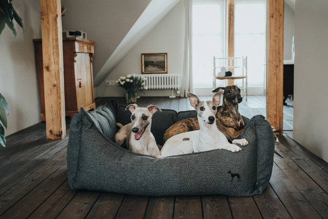 LIVINGSTON Sofa - Hunter Pet Store -Cozy dog sofa with robust structured fabric -Elegant-classic design, with fine HUNTER embroidery -A high rim can support the dog's sense of security -Bulky filling and pleasantly soft feel -Per zipper removable cover -Cover washable at 140 °F