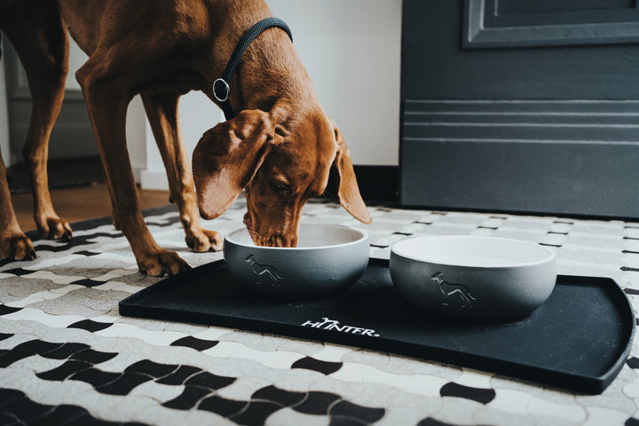 LUND Ceramic Bowl - Hunter Pet Store -feeding or drinking bowl made of ceramic -subtle HUNTER dog embossing -high weight ensures a secure stand -slip-resistant silicone rim on the bottom -long-lasting and scratch resistant -food safe and dishwasher-safe