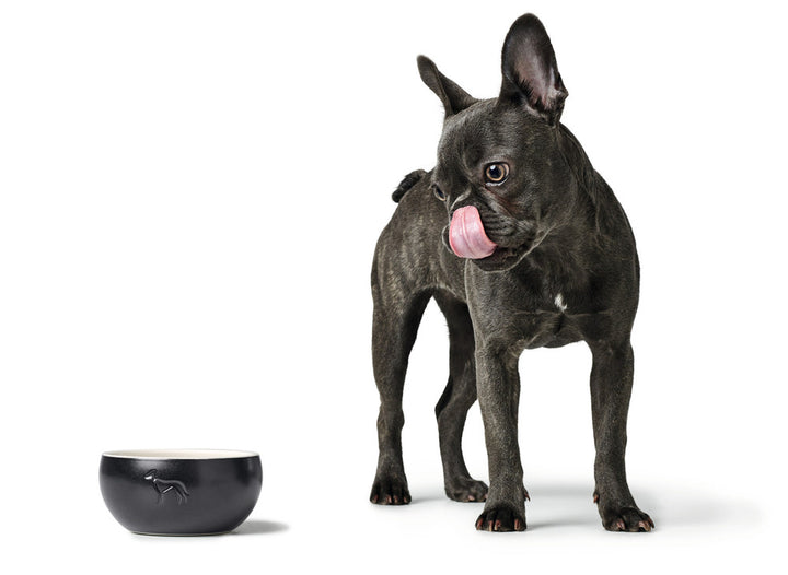 LUND Ceramic Bowl - Hunter Pet Store -feeding or drinking bowl made of ceramic -subtle HUNTER dog embossing -high weight ensures a secure stand -slip-resistant silicone rim on the bottom -long-lasting and scratch resistant -food safe and dishwasher-safe