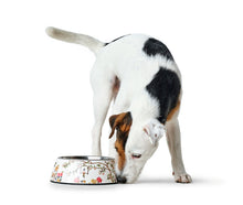 Load image into Gallery viewer, Feeding Bowl MOGAMI