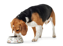 Load image into Gallery viewer, Feeding Bowl MOGAMI